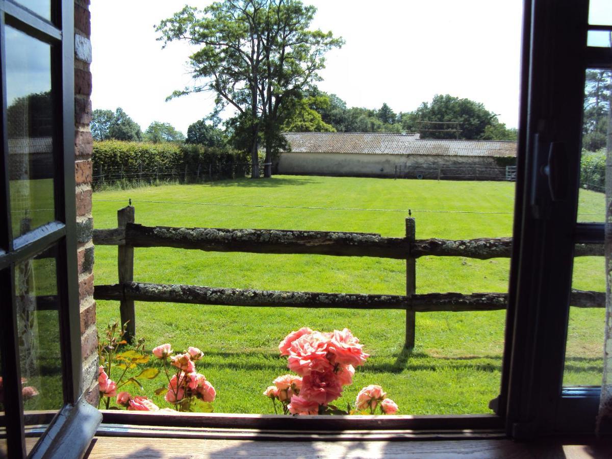 La Pastorale Bed and Breakfast La Puisaye Εξωτερικό φωτογραφία